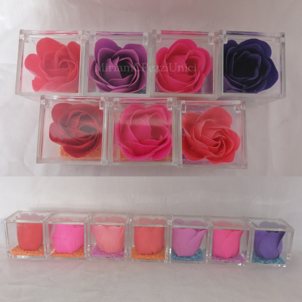 Cubo con "Rosa di sapone"